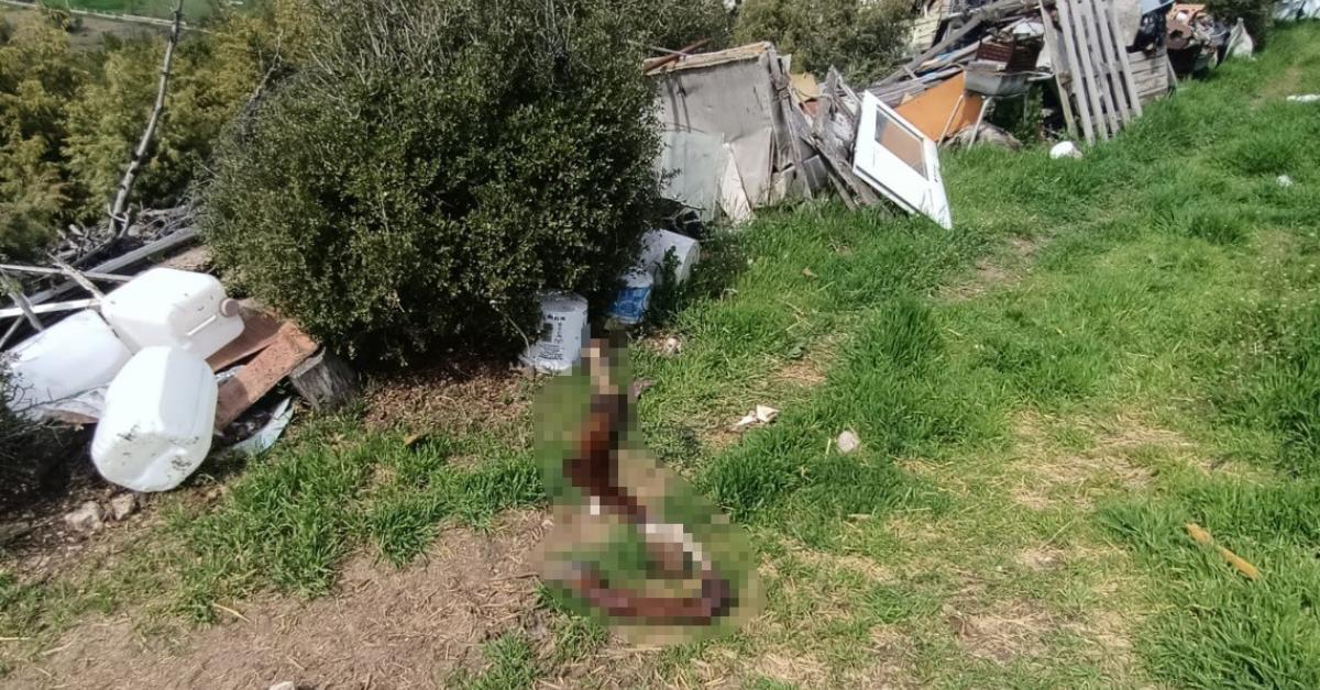 bilecikteki izinsiz hurda alani temizlendi yI6UJ9hz.jpg