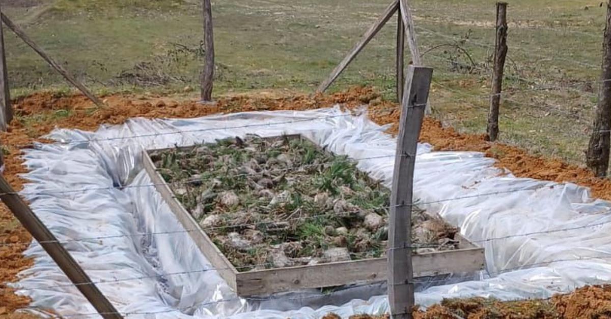 duzcede cam kese bocegi kontrol altina aliniyor sBLNb9vd.jpg