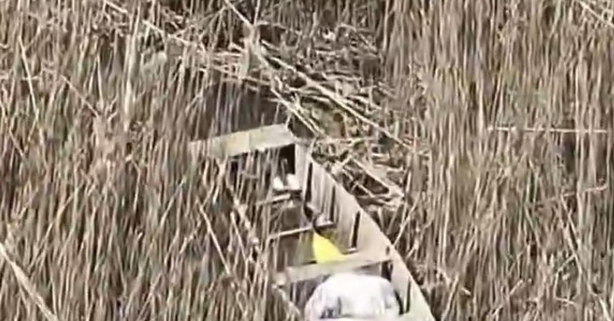 duzcede dronla kacak avcilar yakalandi C88rTGjq.jpg