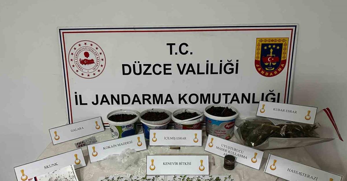 duzcede kenevir yetistiren sahis gozaltina alidni ZYI4Xzpd.jpg