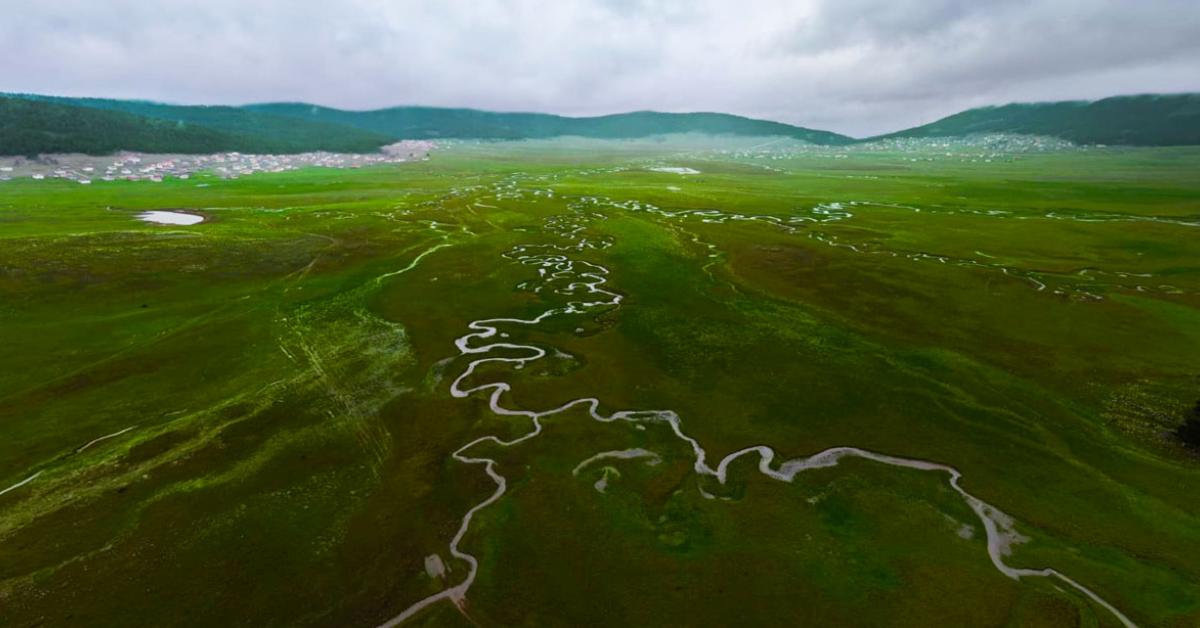 geredenin yani basinda gorenler hayran kaliyor wuyZ5Qgg.jpg