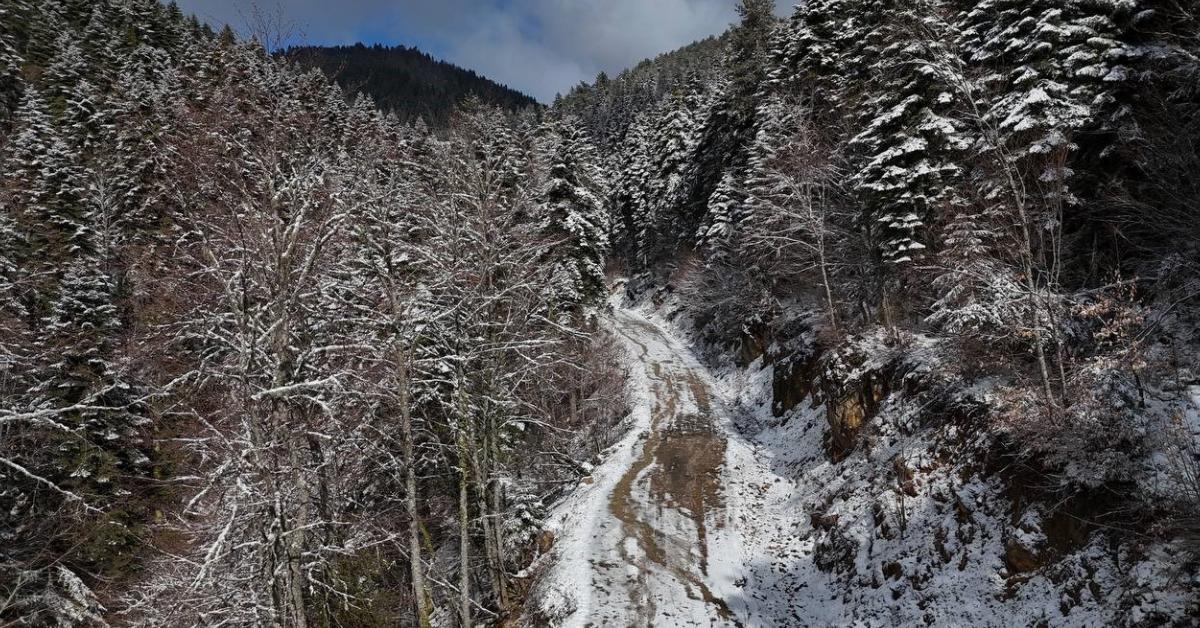 karabukte gorsel solen kar yagisi ormanlari beyaza burudu 2YnDrjV1.jpg