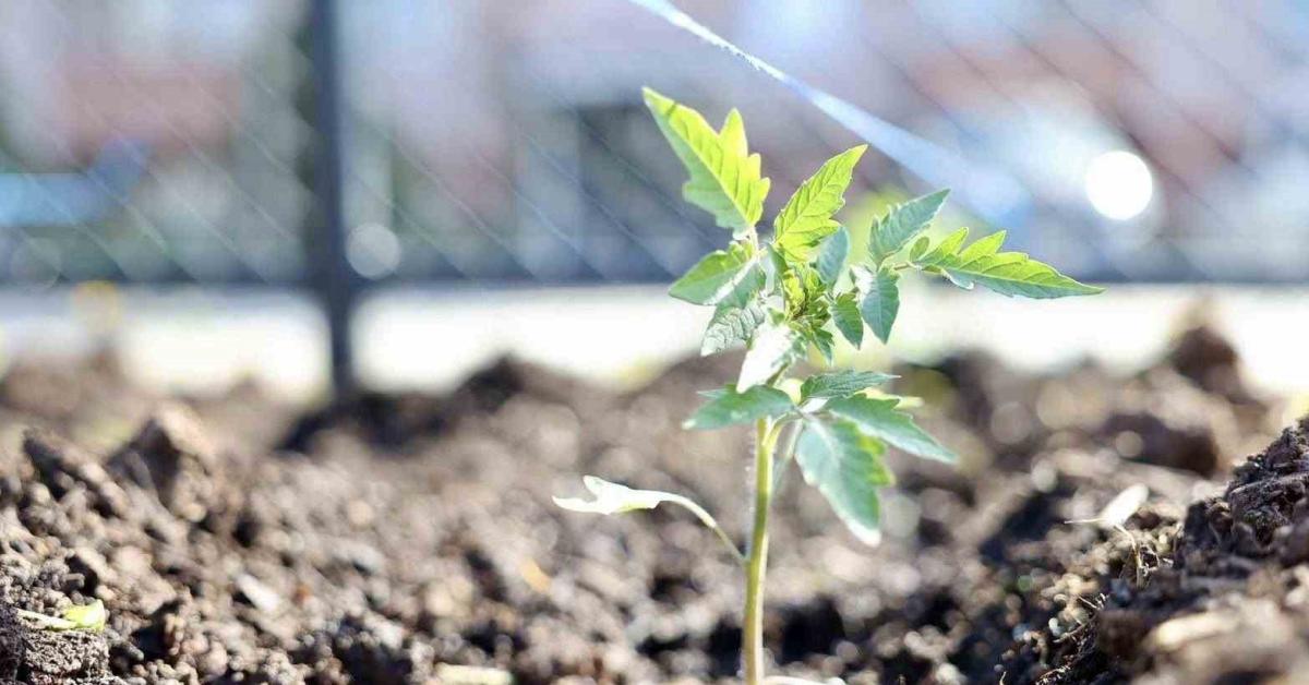 kocaeli korfezda ucretsiz dagitilacak N3tVEUyr.jpg