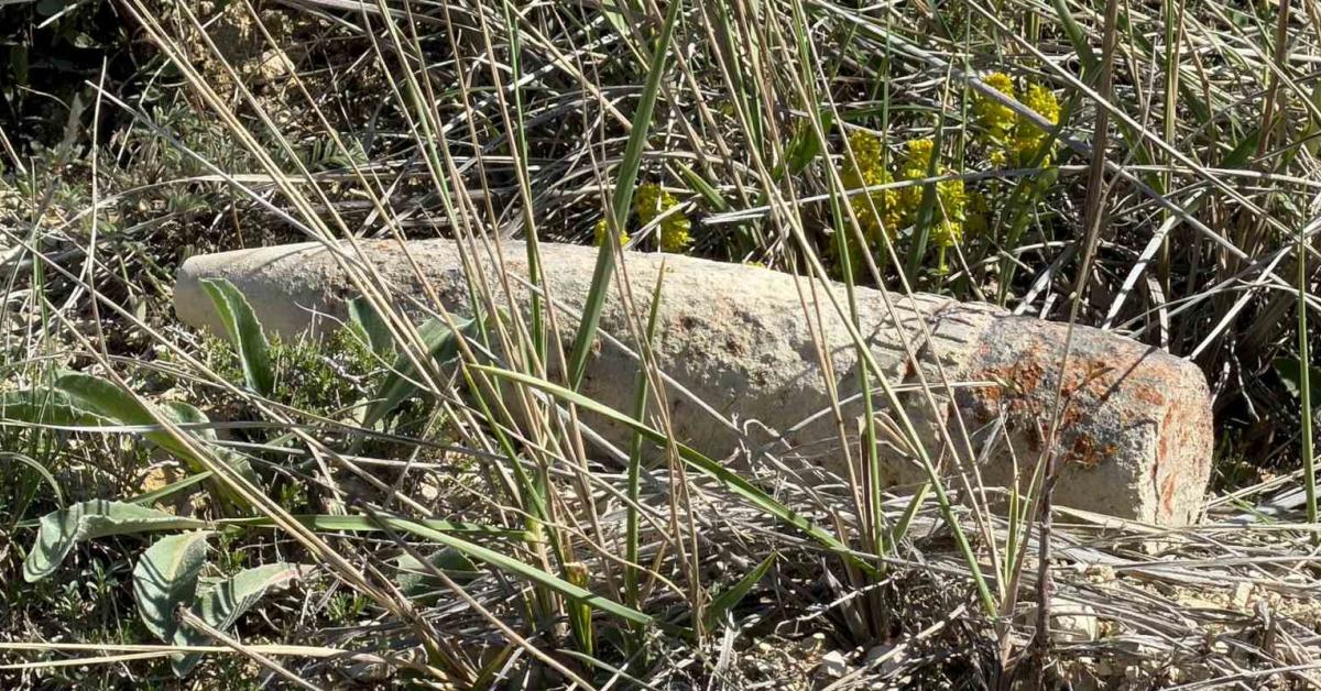 mantar ararken top mermisi buldu zNbYGEi1.jpg