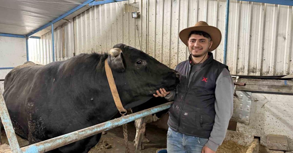 sakaryada dev tosunlar goz dolduruyor LihXRG13.jpg