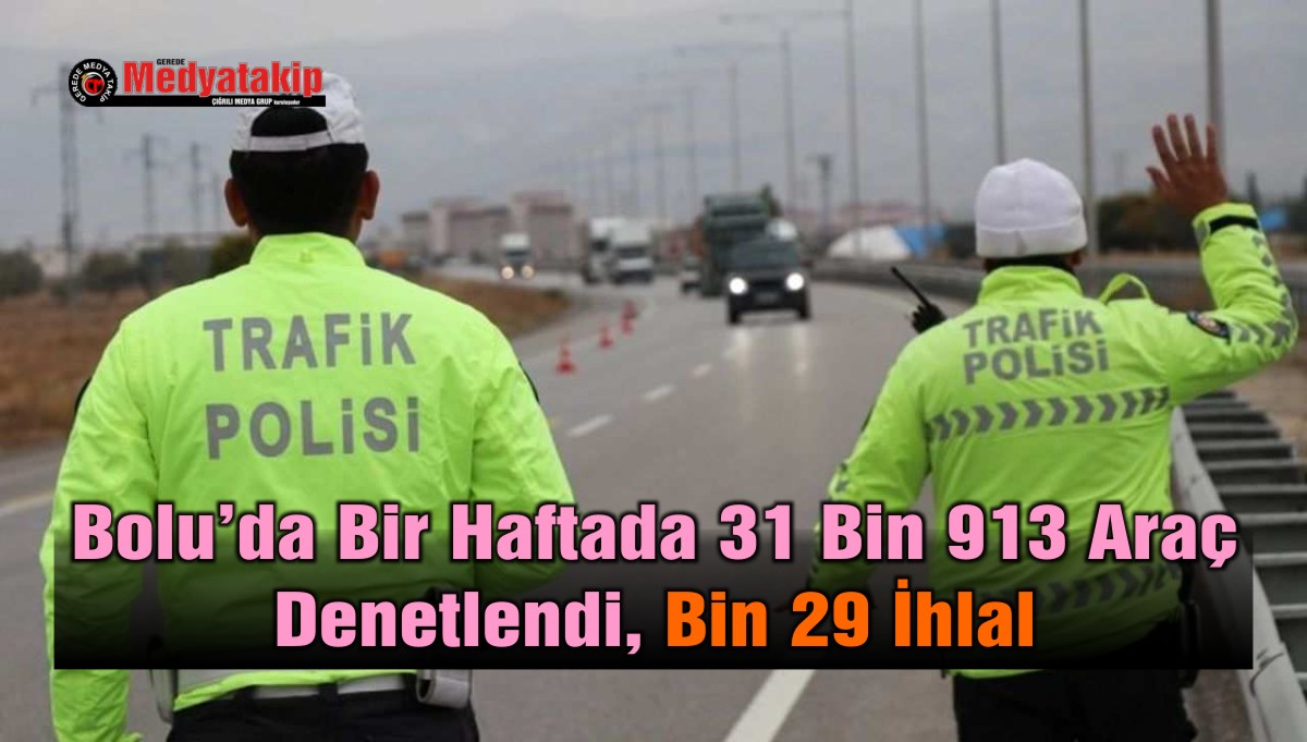 trafik denetim