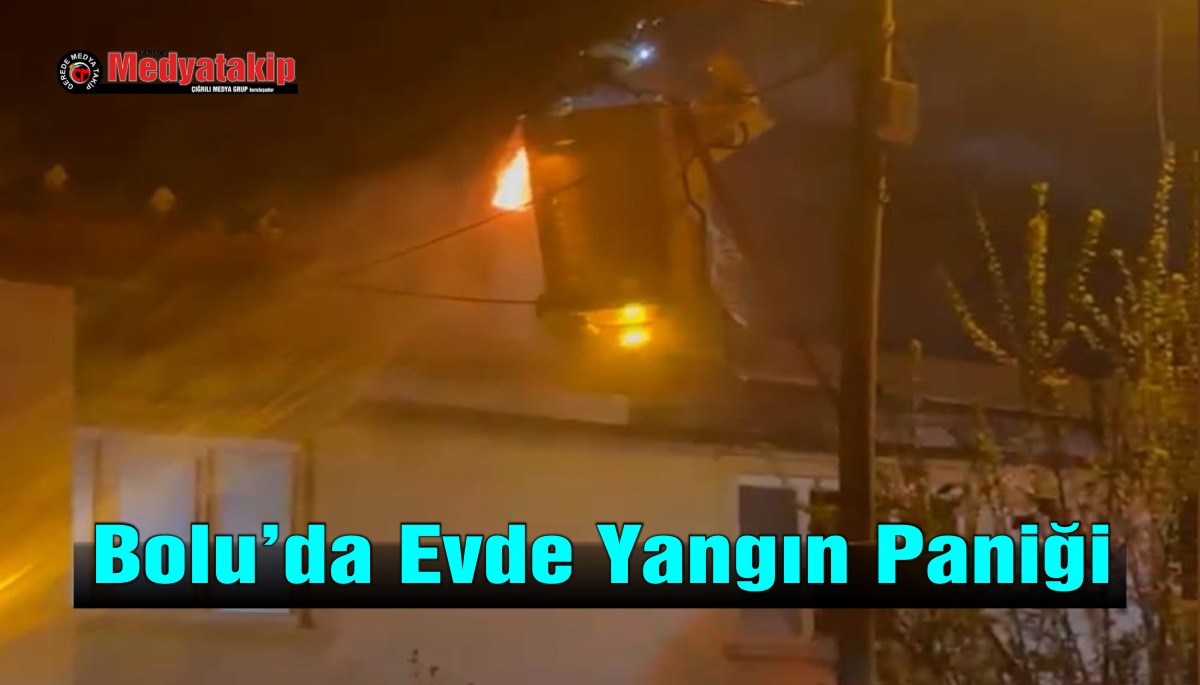 yangın