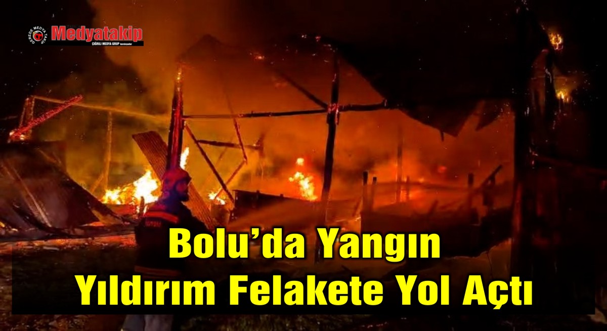 yangın