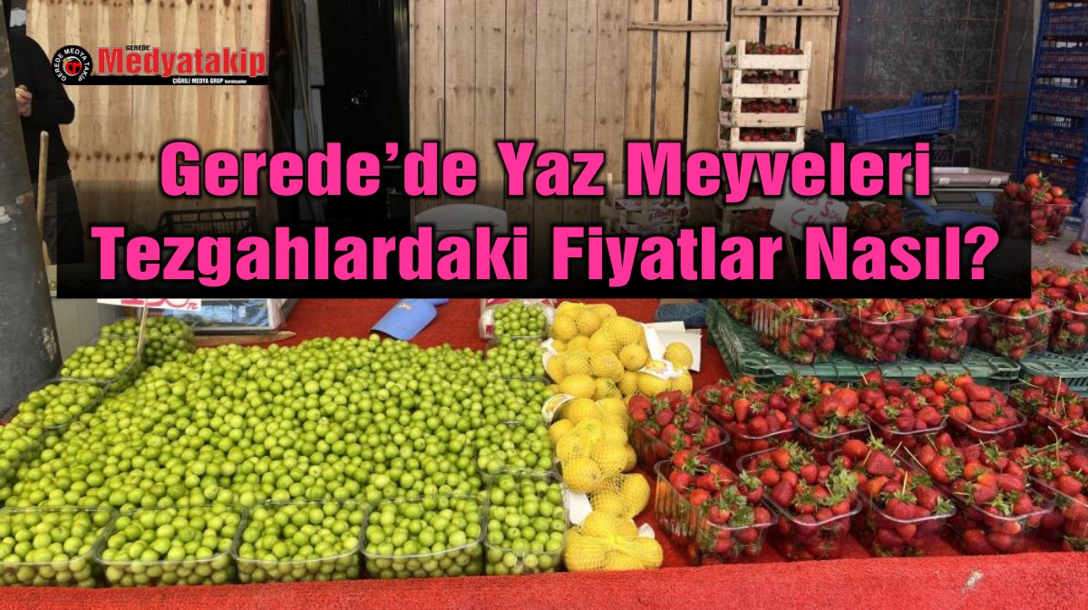 yaz meyveleri