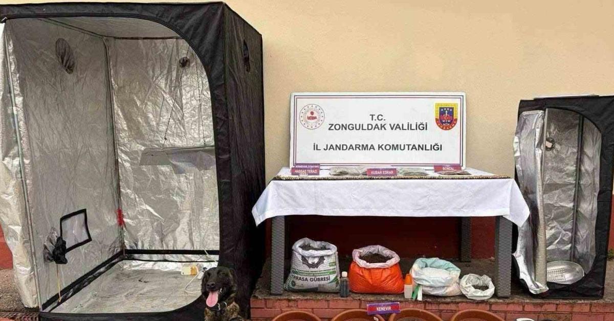zonguldak caycumada evde kurulan uyusturucu serasina baskin iFbfLJAW.jpg