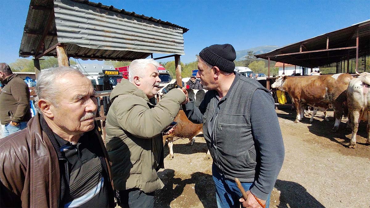704 Kiloluk Dana İçin Kıyasıya Pazarlık2