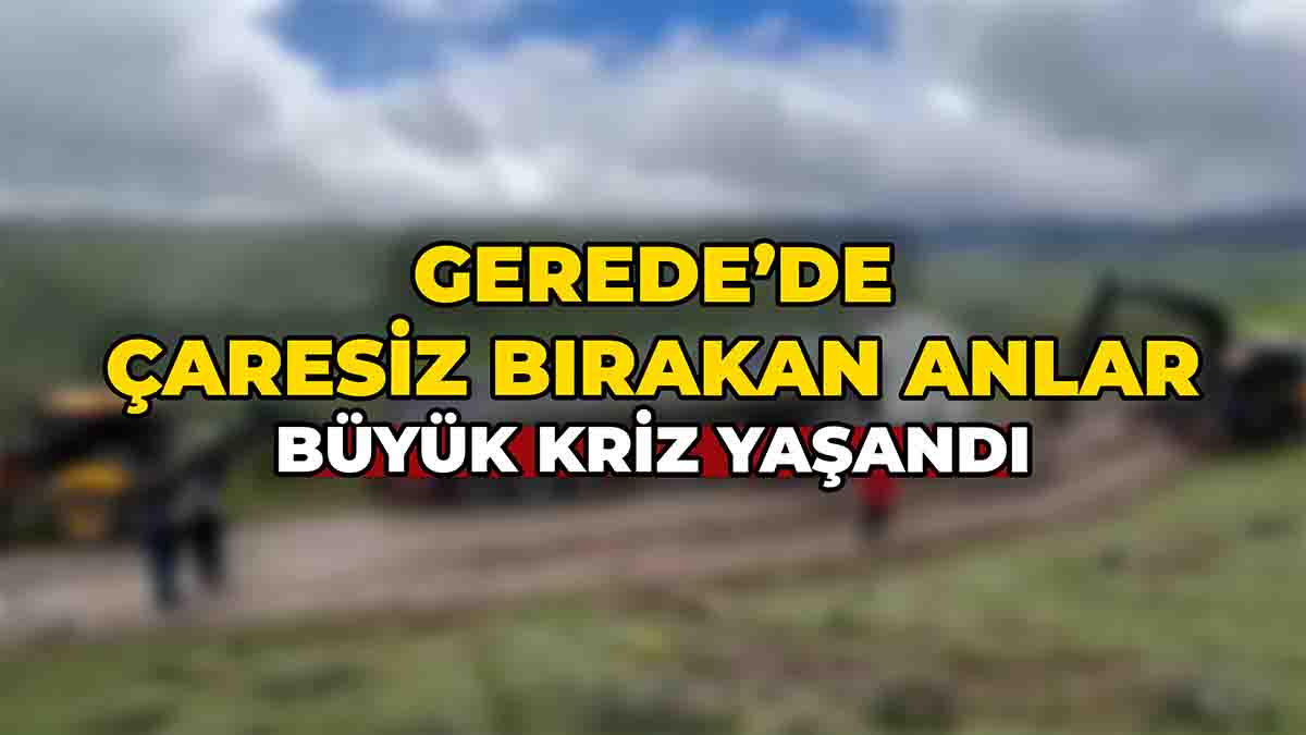 Gerede’de Çaresiz Bırakan Anlar