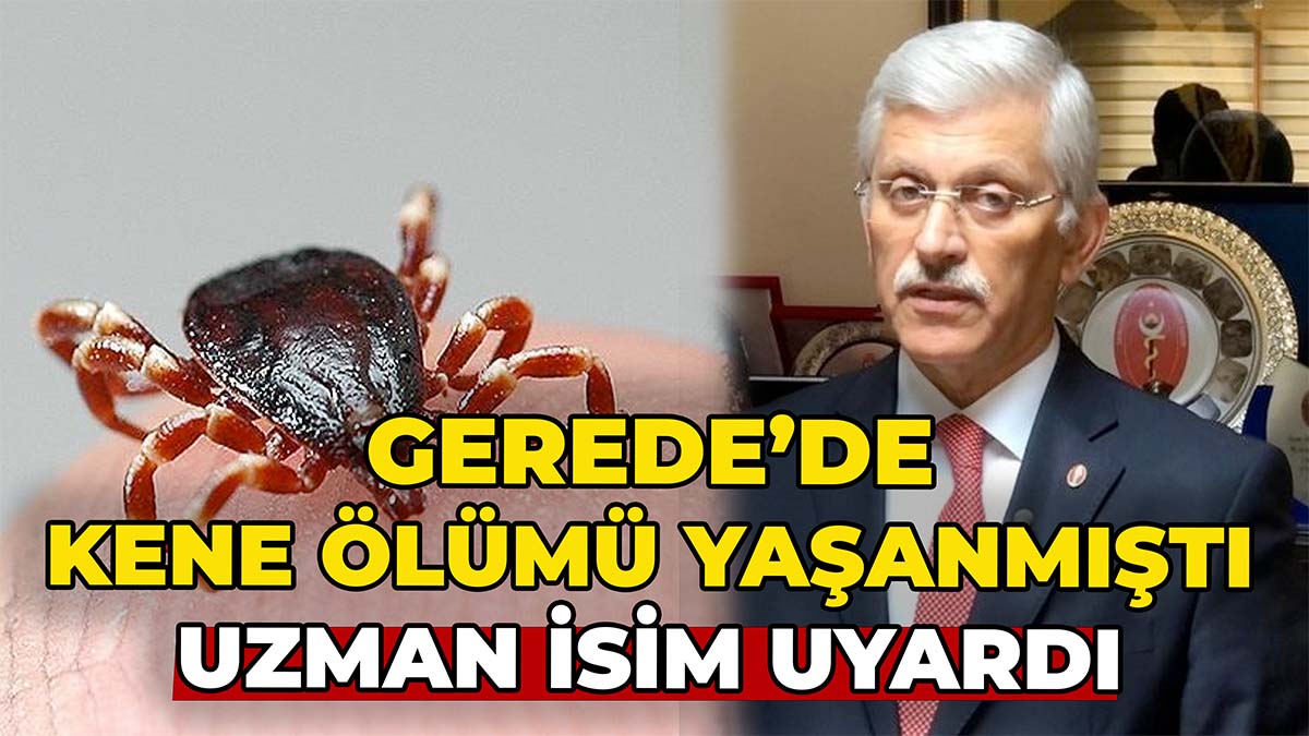 Gerede’de Kene Ölümü Yaşanmıştı