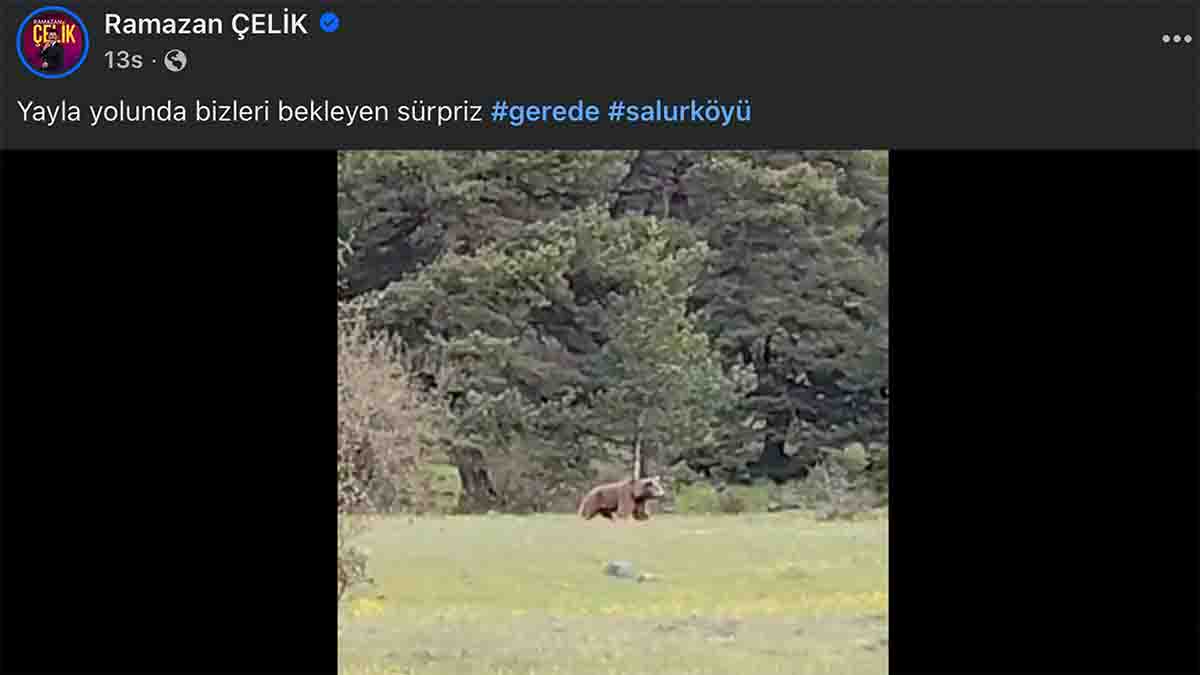 Ramazan Çelik Salur Yaylası Ayı2