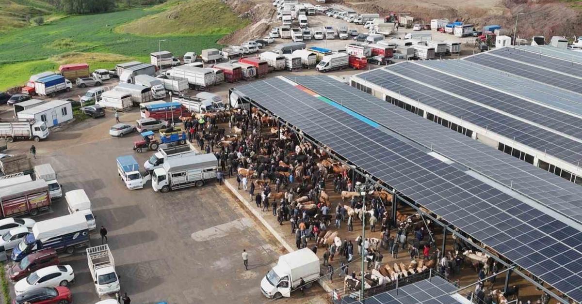 ankara cubukta kurbanlik fiyatlari JZlOTjel.jpg