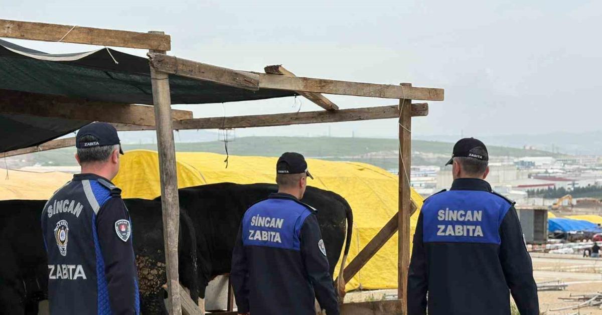 ankara sincanda kurban pazarlarinda denetimler suruyor SRQaxCcd.jpg