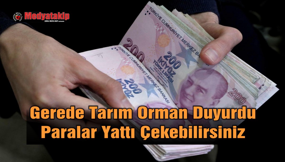 destek parası