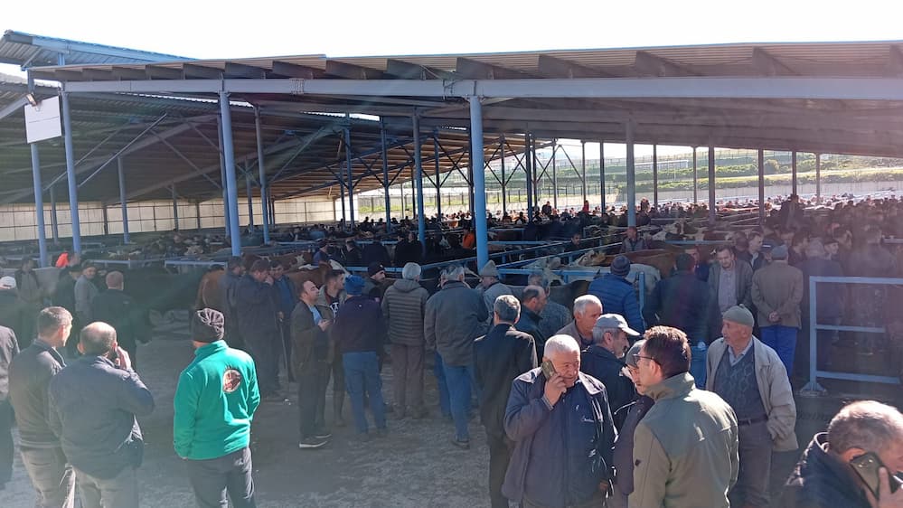 geerde hayvan pazarı2
