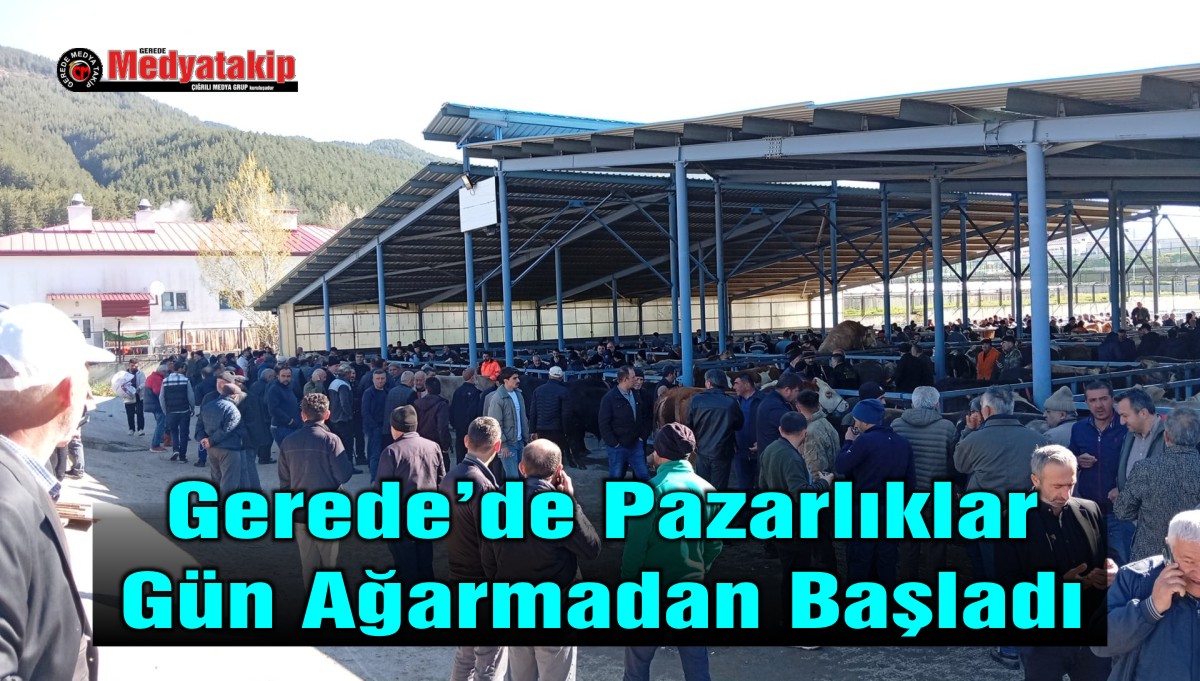 gerede hayvan pazarı