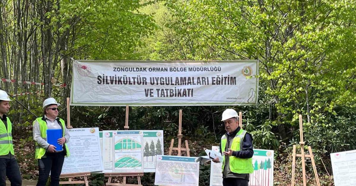 karabukte gelecegin ormanlari icin kritik adimlar atildi Eaq8E9T6.jpg