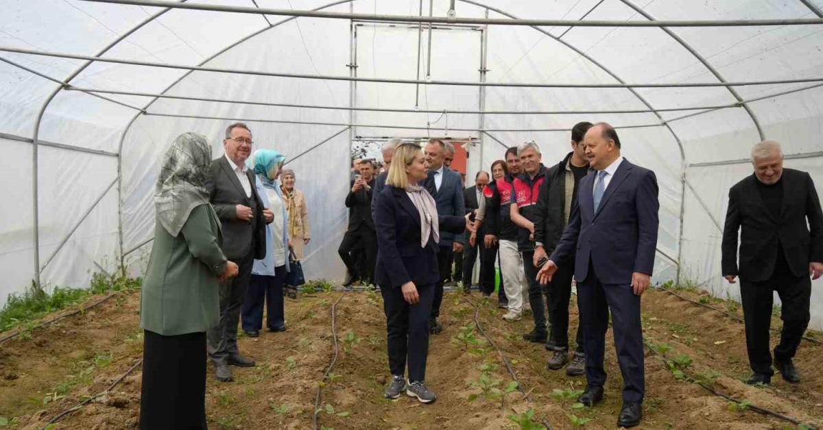 kastamonuda ozel bireylerden tarimsal basari sXF9jzNX.jpg