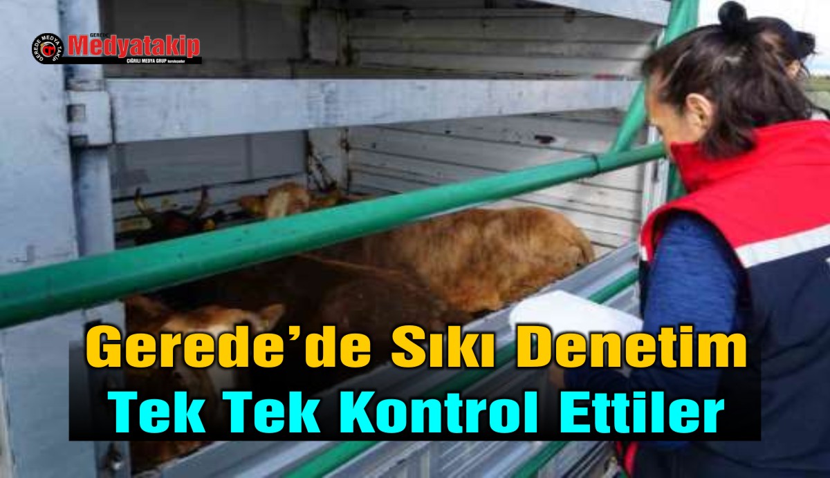 kurban denetim