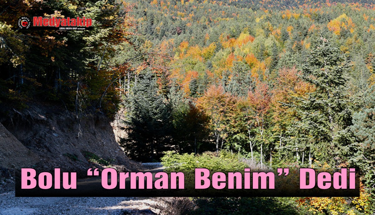 orman