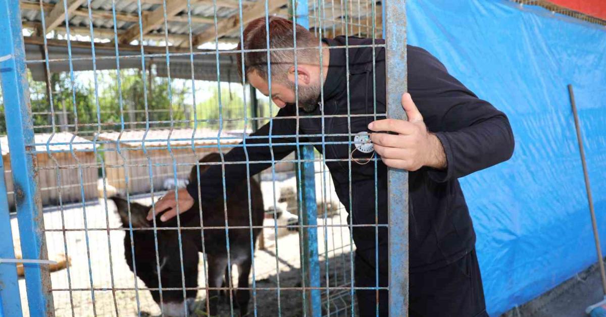 sakaryada basibos esek gorenleri sasirtti psQYgg1C.jpg