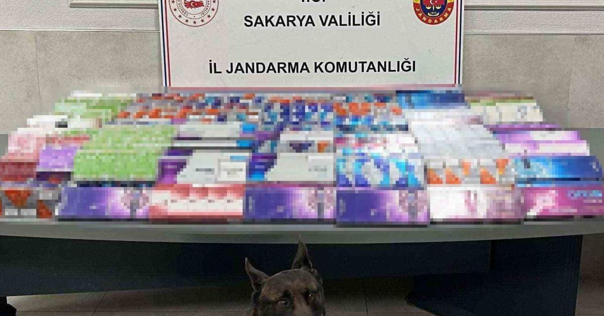 sakaryada jandarmadan kacakciliga darbe 3 ilcede es zamanli operasyon y2yOVrUB.jpg