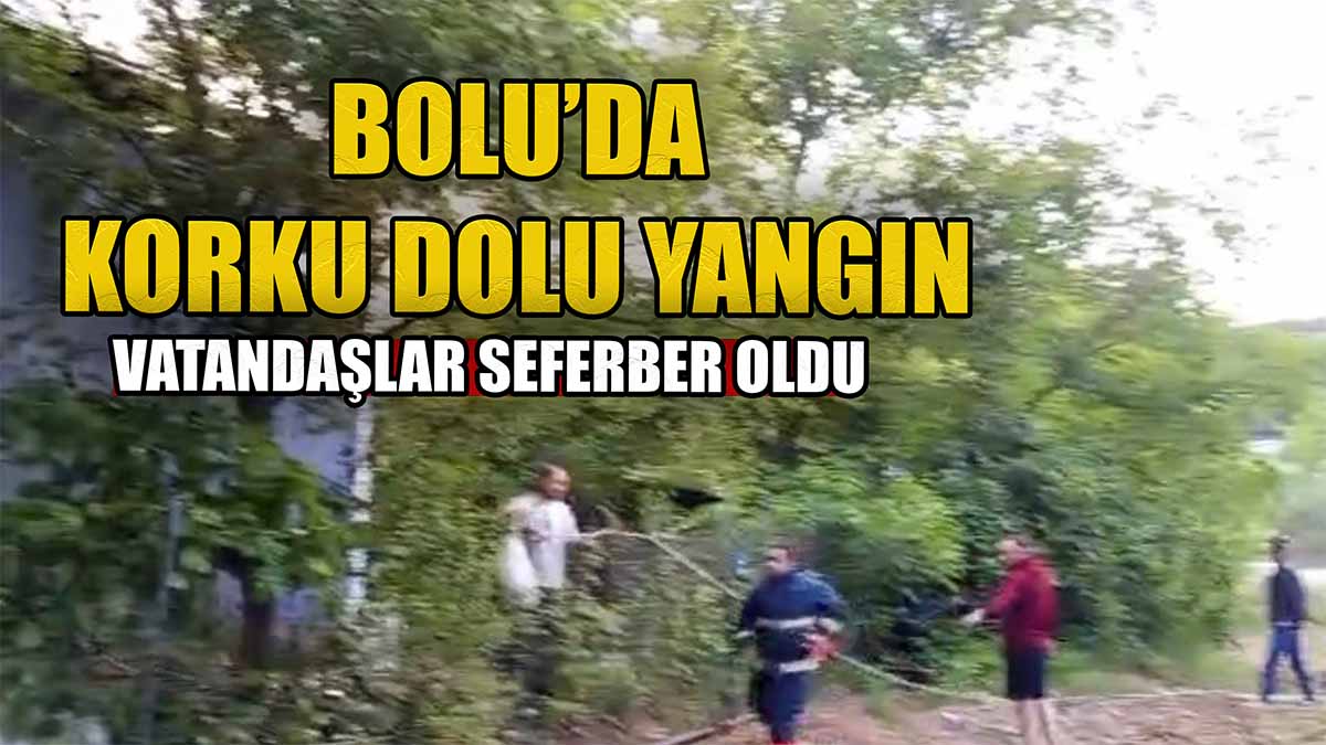 Bolu Yangın