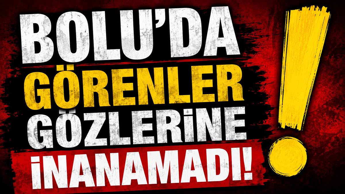 Bolu'da Görenler Gözlerine İnanamadı