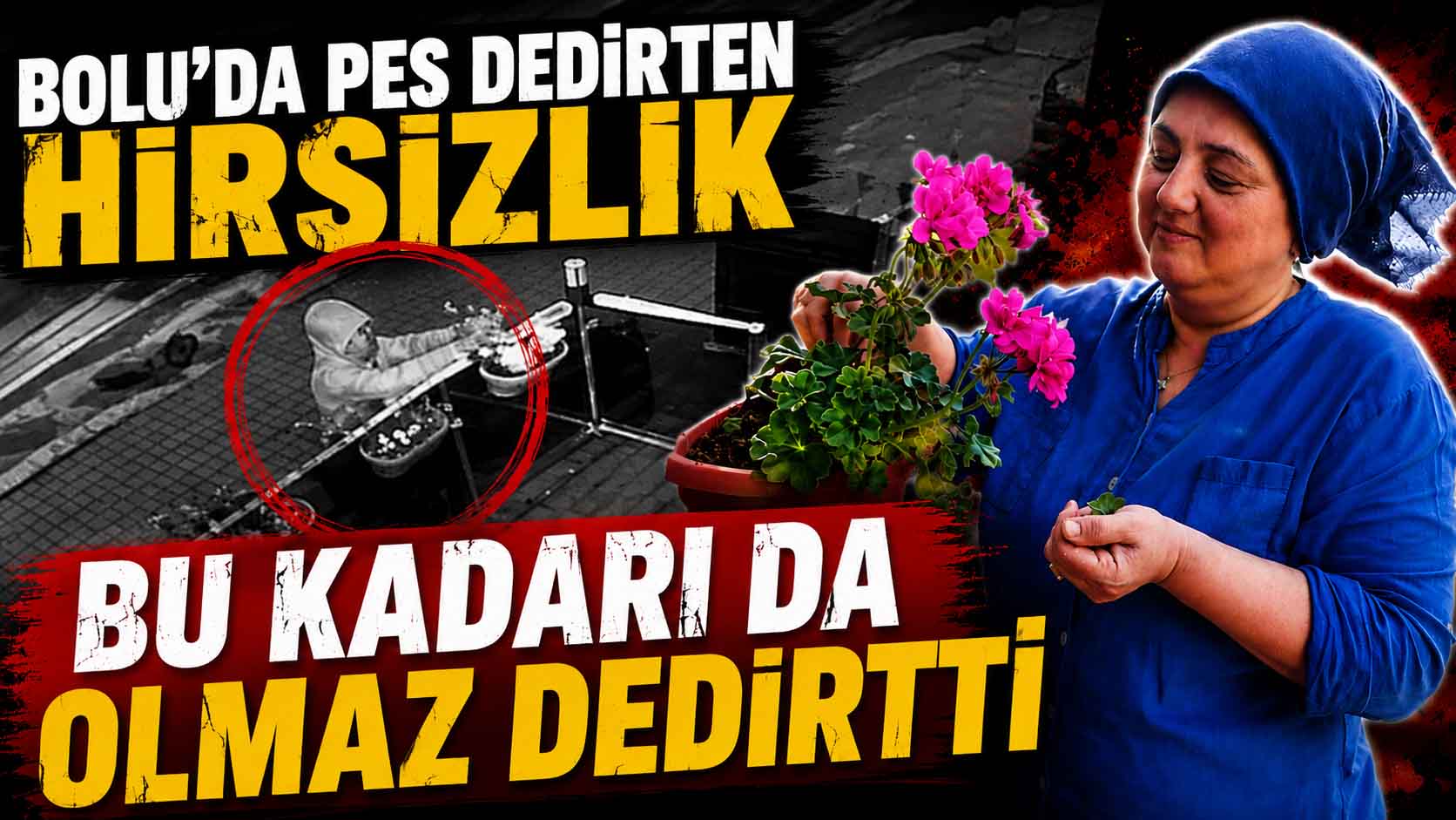 Bolu'da Pes Dedirten Hırsızlık