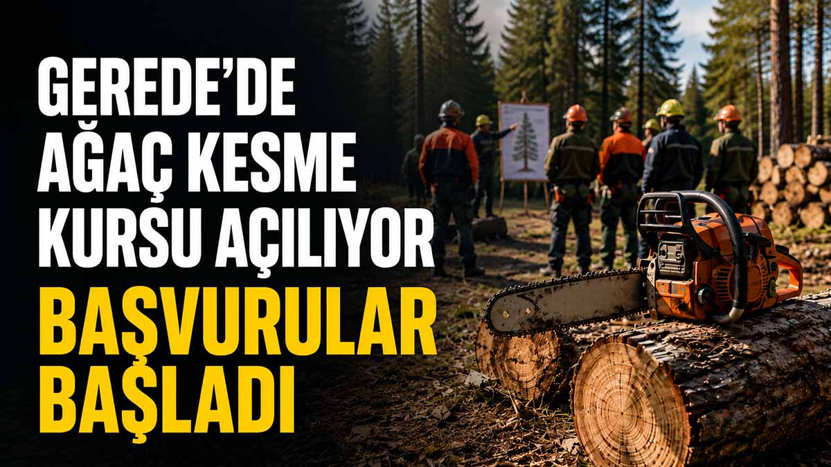 Gerede’de Ağaç Kesme Kursu Açılıyor