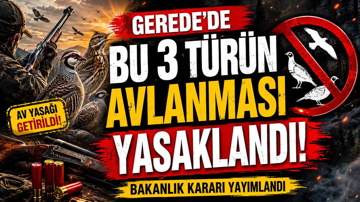 Gerede’de Bu 3 Türün Avlanması Yasaklandı