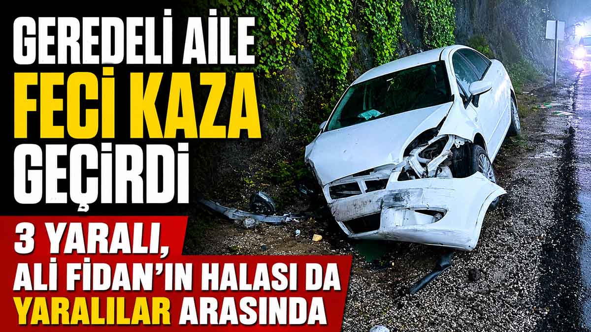 Geredeli Aile Bolu'da Kaza Yaptı3