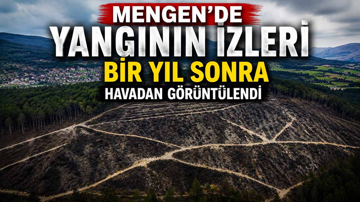 Mengen’de Yangının İzleri Bir Yıl Sonra Havadan Görüntülendi