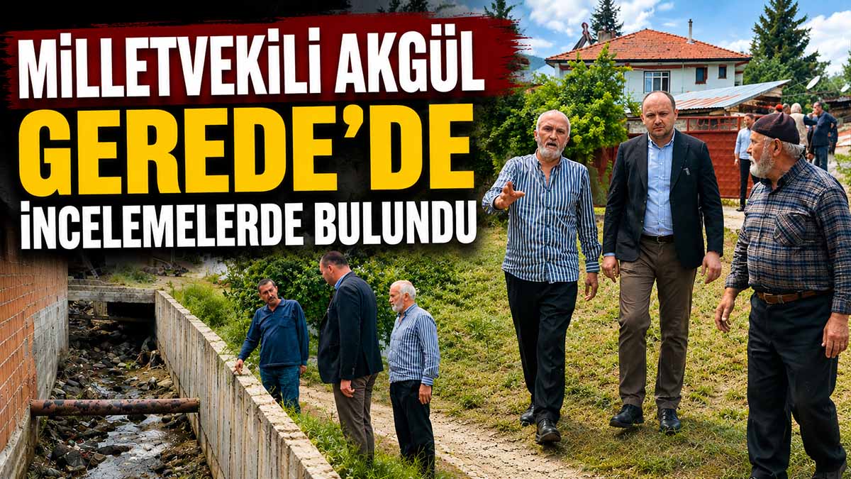 Milletvekili Akgül Gerede'de İncelemelerde Bulundu