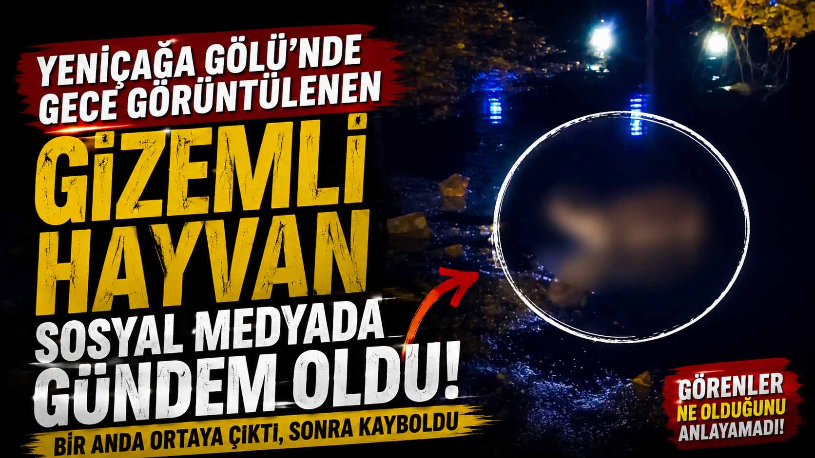 Yeniçağa Gölü Samur