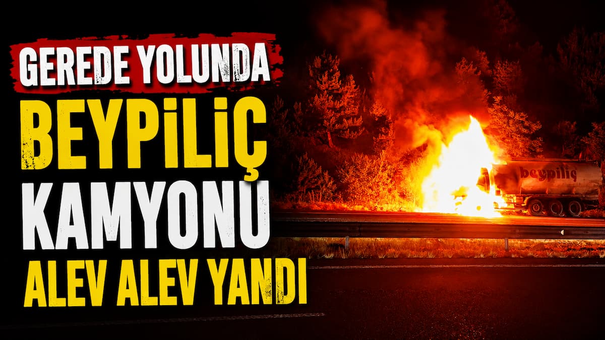 beypiliç (1)