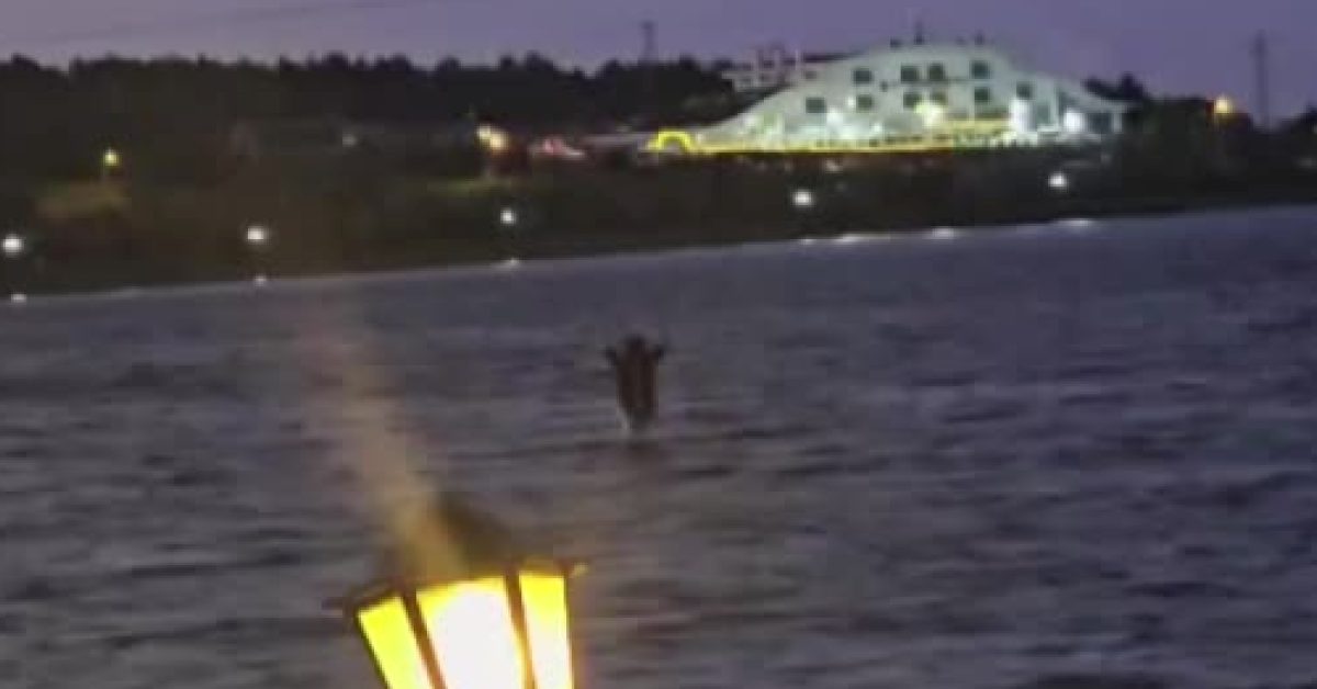 bilecikte zipline macerasi kabusa dondu 3SkA3ta4.jpg