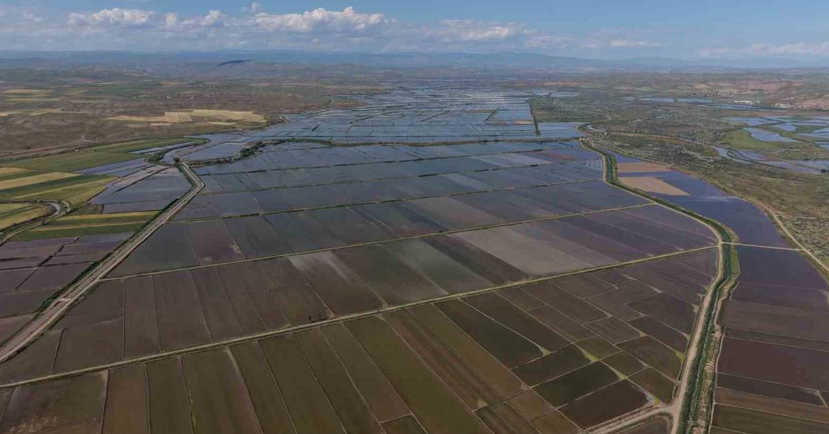 cankiri kizilirmakta siddetli yagislar ekim planlarini altust etti AHqmZrgy.jpg