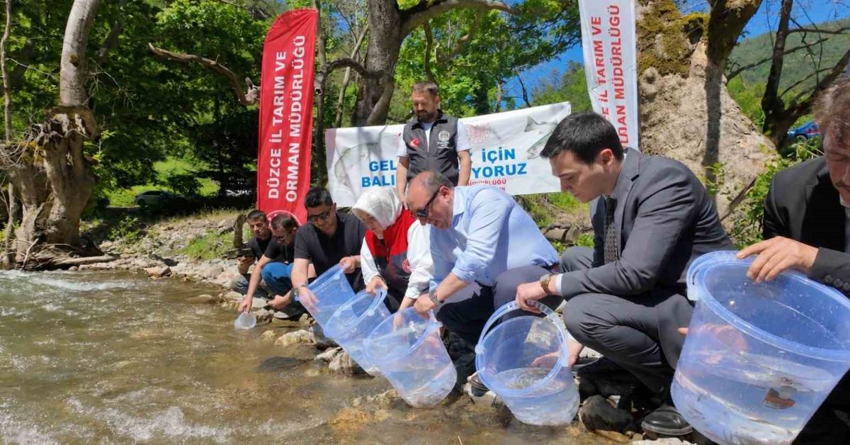duzce 7 bin 500 alabalik yavrusu dereye salindi gOasZZNb.jpg