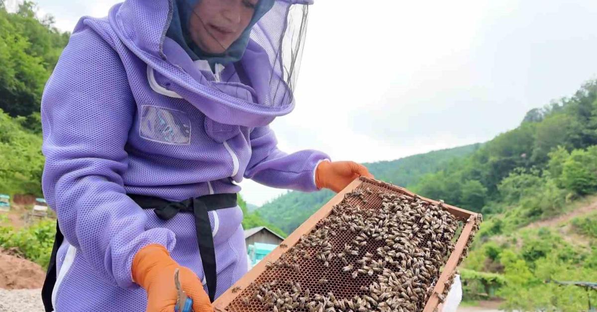 duzceli kadin 2 kovanla basladi kilosu 60 bin lirayi buluyor I2AFEkDb.jpg