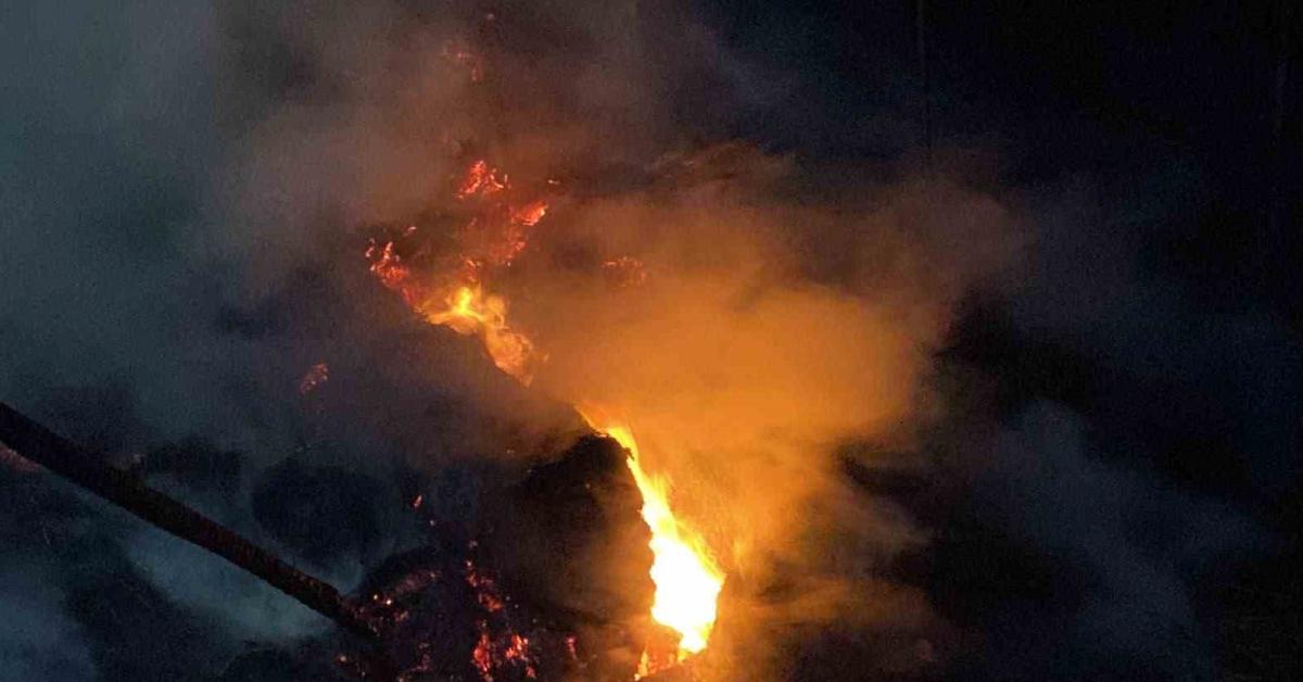 izmitte 800 saman balyasi alevlere teslim oldu aW2Y8QTa.jpg