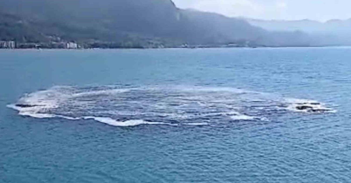 kastamonu cidede deniz kabardi balikcilar panige kapildi mgItxeEF.jpg