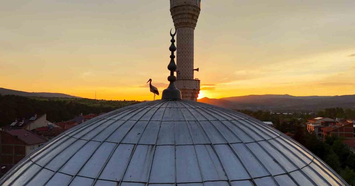 kastamonuda leylekler cami kubbesinde goruntulendi vRU3nrQJ.jpg
