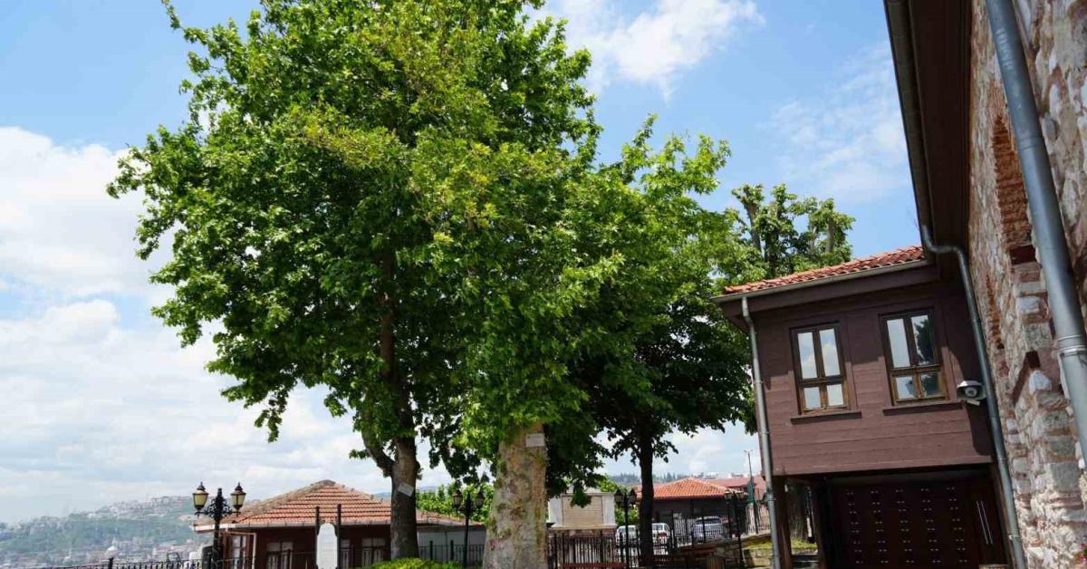 kocaeli izmitte 694 yildir zamana meydan okuyor HvcQ8s7Z.jpg