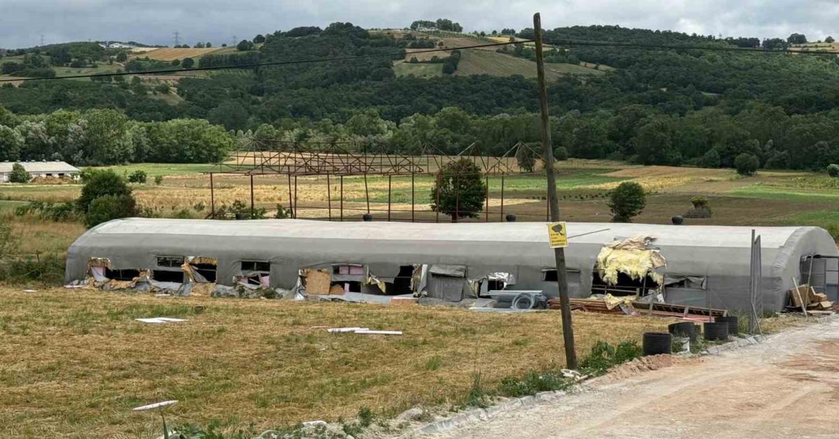 sakarya kaynarcada yangin 5 kuzu telef oldu bin balya yandi 5vUyZcji.jpg