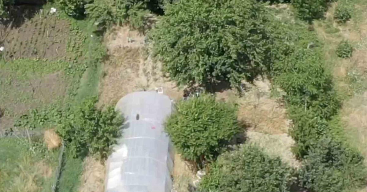 sakaryada dronlu operasyon 20 kok hint keneviri ele gecirildi mtEI4zxH.jpg