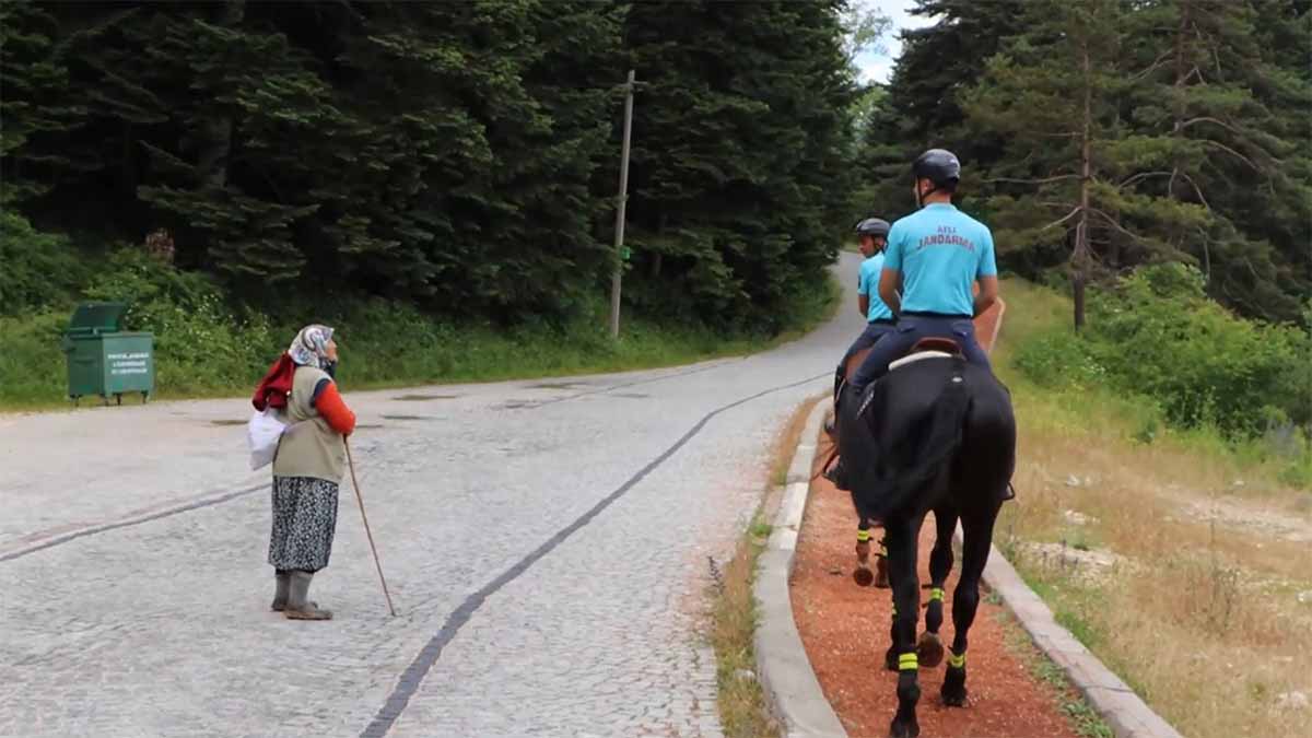 Bolu Abant Atlı Jandarma